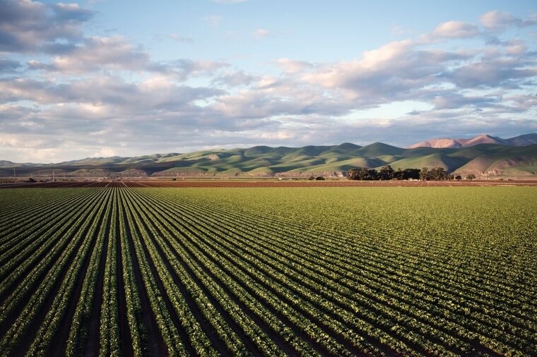 Idaho Farm